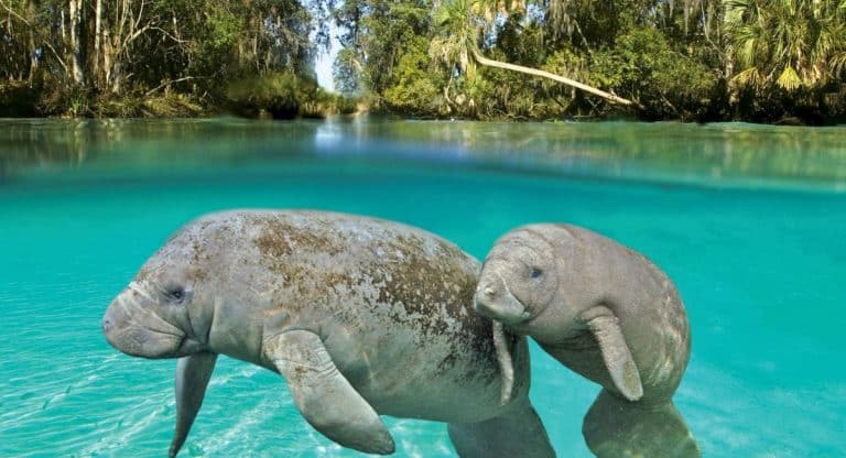 6 Underrated U.S. Travel Destinations For Summer 2024