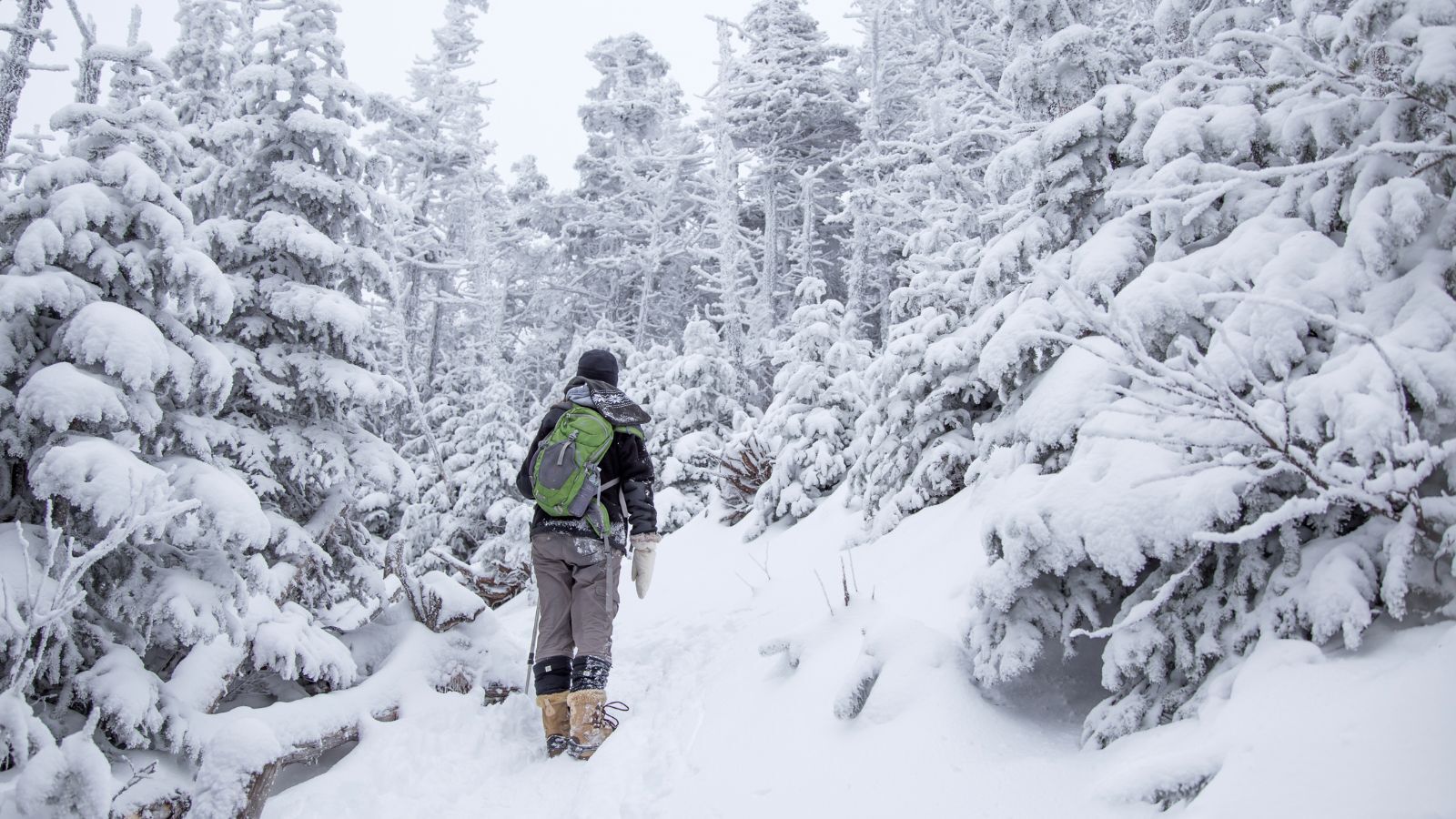 This Affordable East Coast Destination Is One Of The Best Winter Hidden Gems